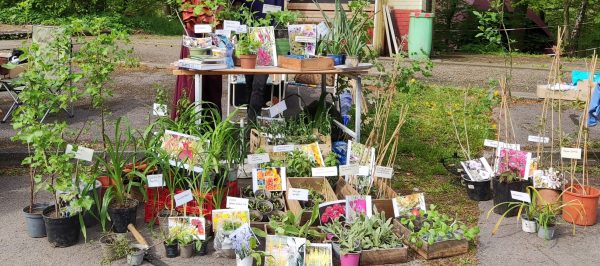 Grüner Markt mit Wildkräuterwanderungen, Vorträgen und vielem mehr